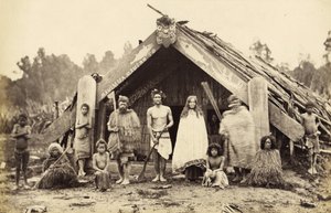 Group of Maoris, 1876 by James Bragge